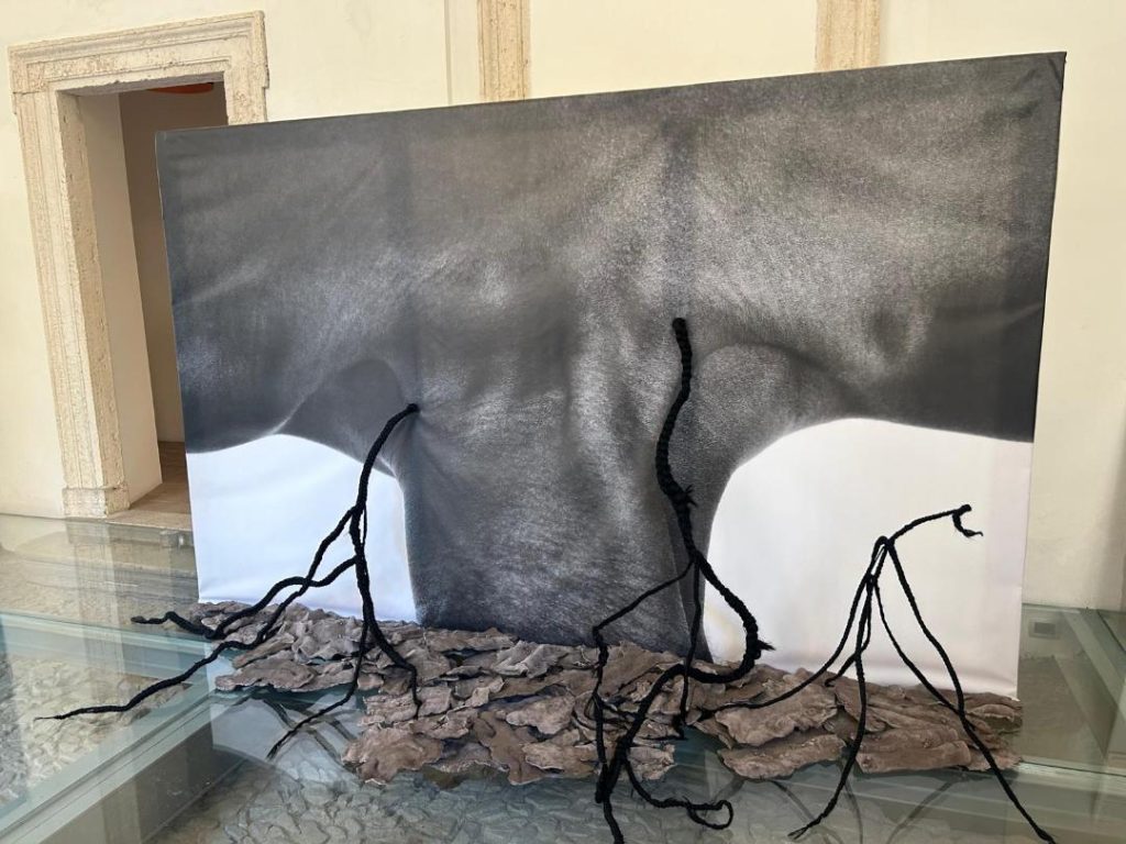 villa litta mostra