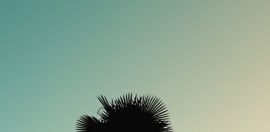West, terra di miti e contraddizioni: a Milano un viaggio fotografico nella storia del sogno americano american west