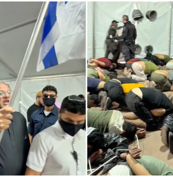 Almodovar, Martone e la Global Sumud Flotilla: il cinema di fronte alla brutalità esibita
