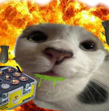I meme ci hanno già sconfitti oppure sono l’unica arma che ci rimane?