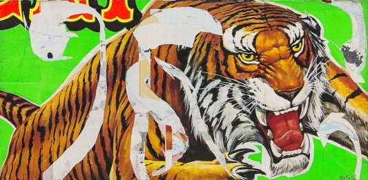Manifesti, strappi e cultura pop. Il mondo di Mimmo Rotella in mostra a Genova rotella mostra