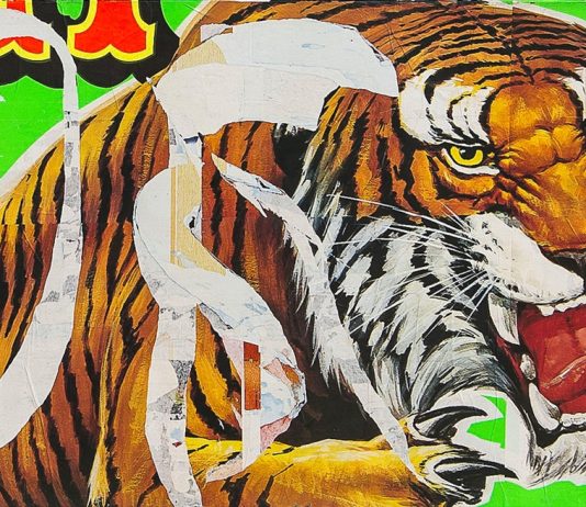 Manifesti, strappi e cultura pop. Il mondo di Mimmo Rotella in mostra a Genova rotella mostra
