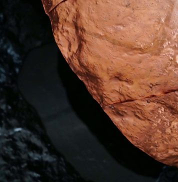 Come la materia si trasforma: il progetto di Bekim Hasaj e Valentina Gelain arriva a Berlino