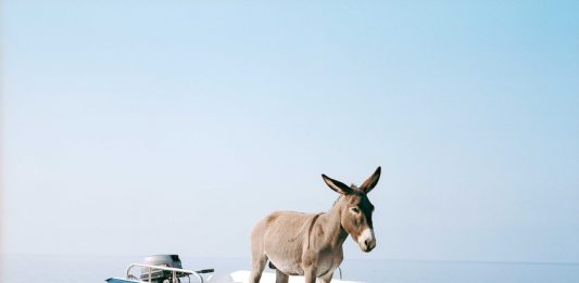 Meglio riderci su. Ottant’anni di ironia nell’arte contemporanea tragicomica mostra