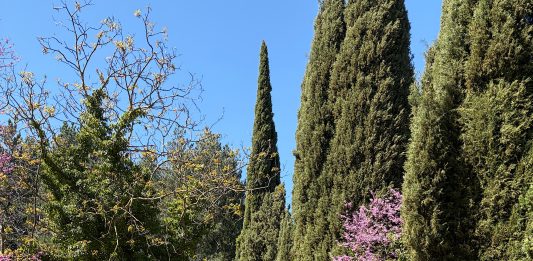 Un laboratorio a cielo aperto: Fondazione Gori-Celle lancia il bando per giovani artisti e curatori