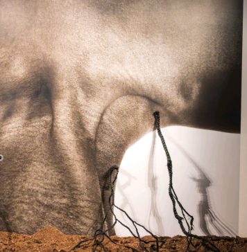 Passa per Villa Altieri di Roma la mostra sulla crisi climatica che farà il giro d’Europa