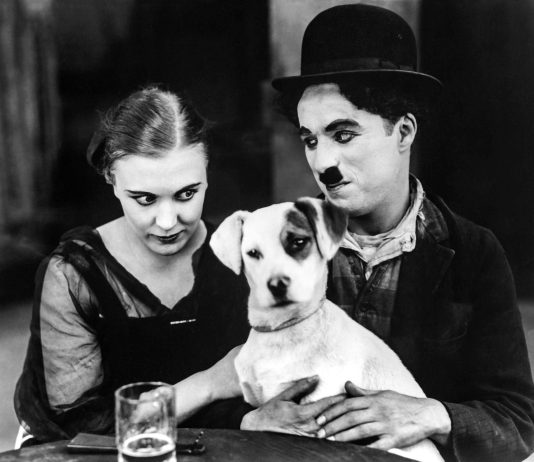 A Bologna torna Il Cinema Ritrovato: 540 film per i 40 anni del festival