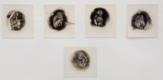 Giulia Cantarutti, Langue verte, la nuova mostra di Alveare Culturale Studio