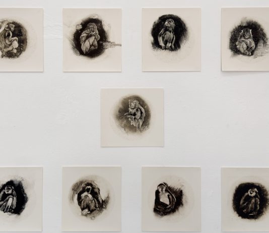 Giulia Cantarutti, Langue verte, la nuova mostra di Alveare Culturale Studio