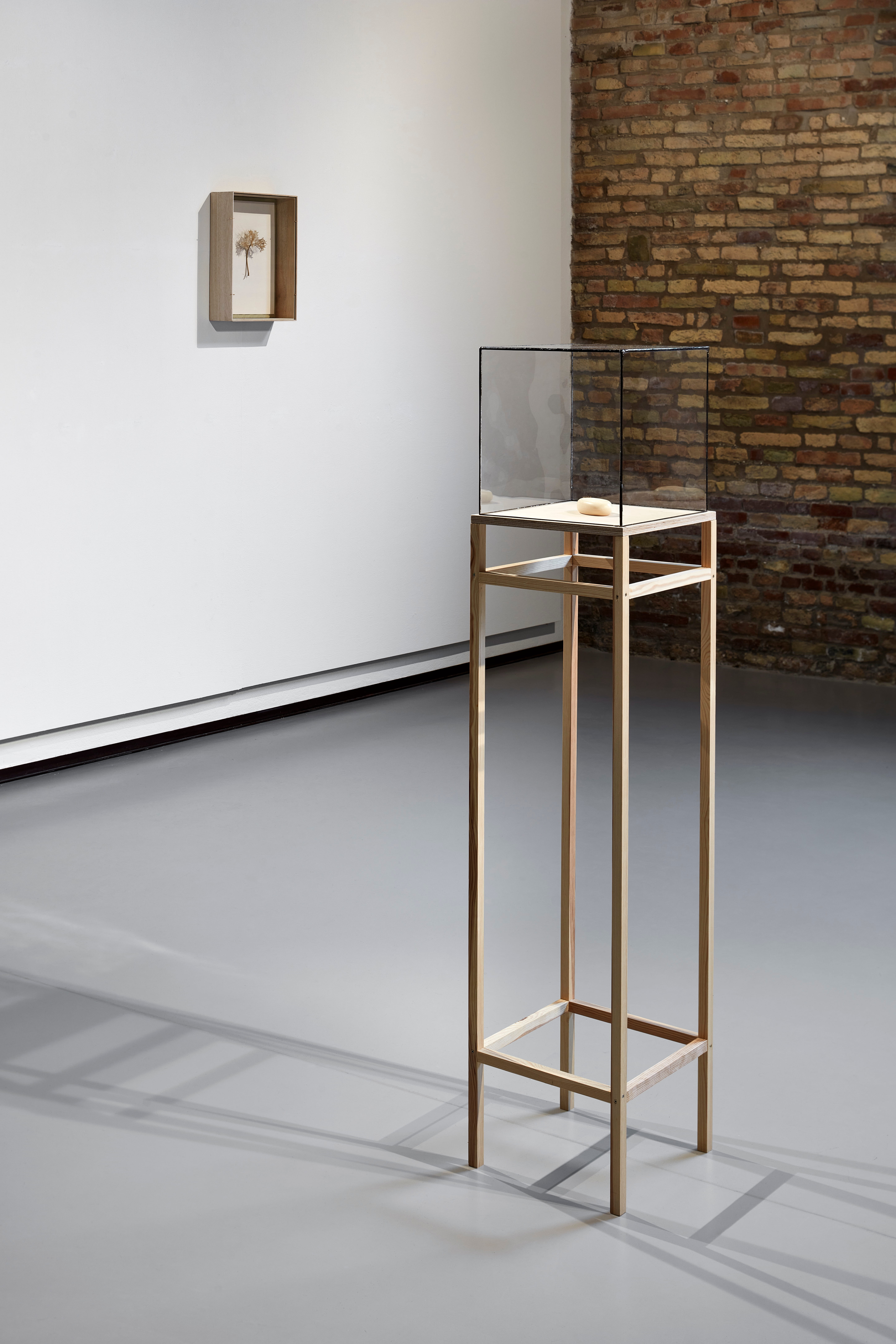 Alice Cattaneo, Elisabetta Di Maggio e Remo Salvadori, Molteplice senza disordine, veduta della mostra, Fondazione Sabe, Ravenna, 2026. Foto di Daniele Casadio