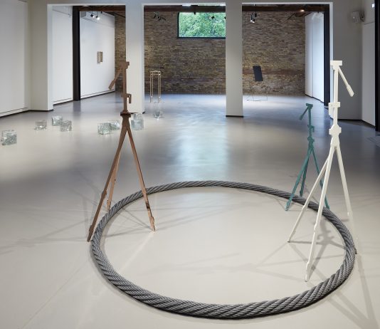 Un equilibrio che nasce dalla fragilità: Salvadori, Cattaneo e Di Maggio in mostra a Ravenna Alice Cattaneo, Elisabetta Di Maggio e Remo Salvadori, Molteplice senza disordine, veduta della mostra, Fondazione Sabe, Ravenna, 2026. Foto di Daniele Casadio