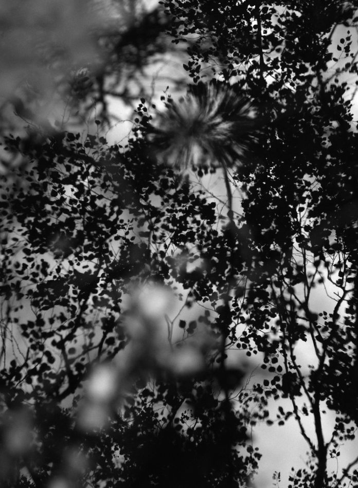 Untitled_2020_Baryta_Print_100x135cm