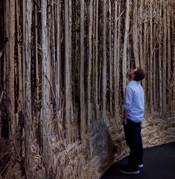 Dentro Unlimited 2026, la sezione di Art Basel che sfida gli standard della fiera