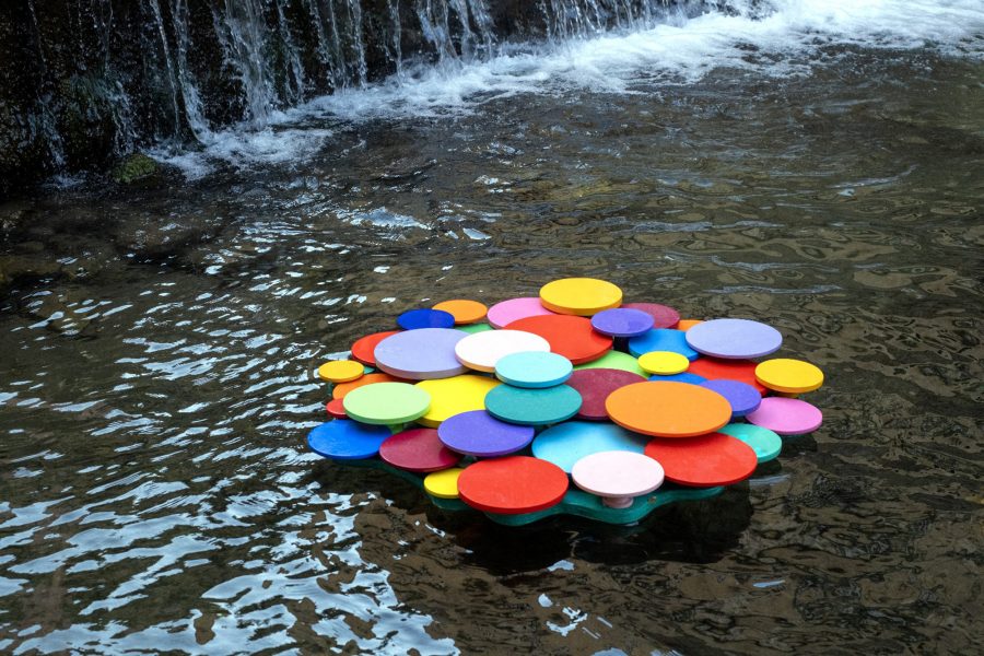 Fior d'acqua