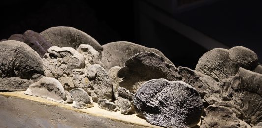 Nessuna forma rimane uguale: le metamorfosi del presente in mostra a Roma
