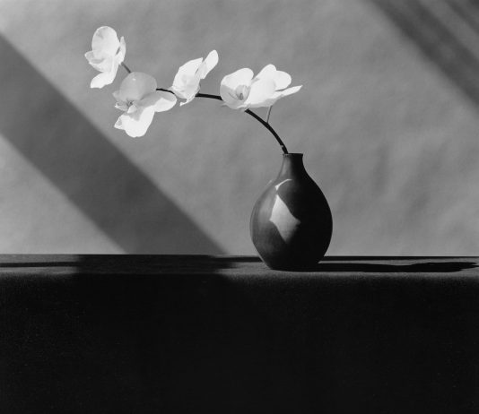 Robert Mapplethorpe all’Ara Pacis di Roma: la mostra che va oltre il mito della provocazione mapplethorpe ara pacis