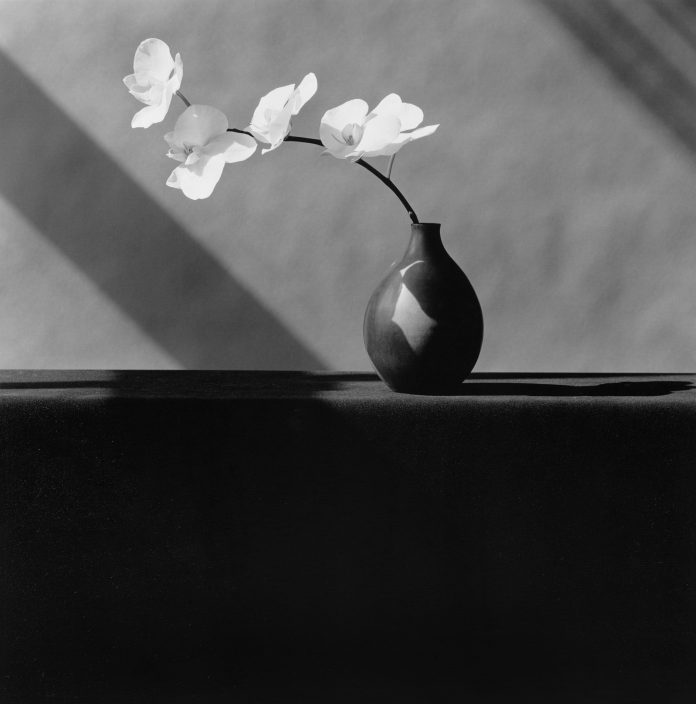 mapplethorpe mapplethorpe ara pacis