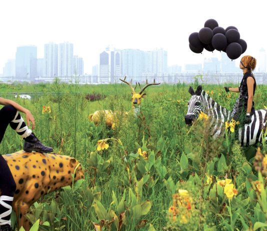 Sette mostre da non perdere nella settimana di Art Basel 2026 mostre art basel 2026
