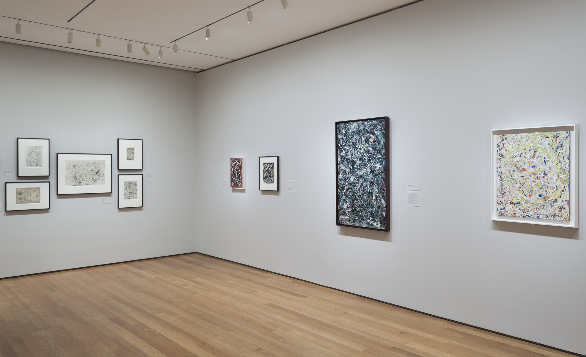 Jackson Pollock: A Collection Survey: 1934-1954, veduta della mostra, MoMA, New York, 2015-2016, ph. Thomas Griesel