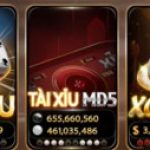 Foto del profilo di HITCLUB 9VIP