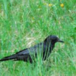 Foto del profilo di ufofabrikgallery