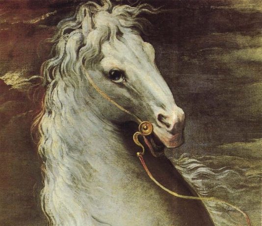 Parmigianino e il manierismo europeo Parmigianino e il manierismo europeo