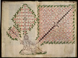 La vita nei libri. Edizioni illustrate a stampa del Quattro e Cinquecento dalla Fondazione Giorgio Cini