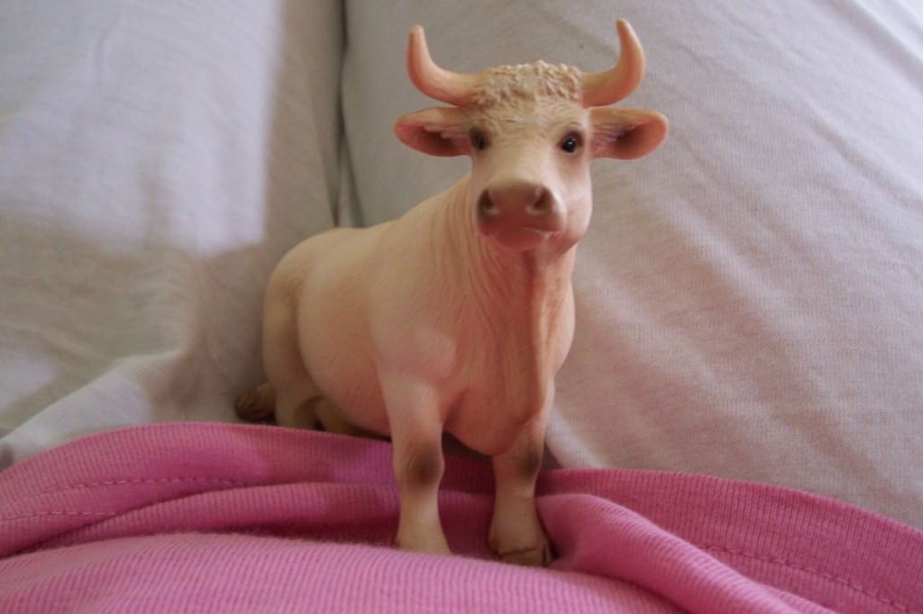 Emma Infante – Opere? Forse!https://www.exibart.com/repository/media/eventi/2003/07/emma-infante-8211-opere-forse.jpg