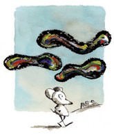 Dis-continuo – Andrea Rauch Dis-continuo – Andrea Rauch