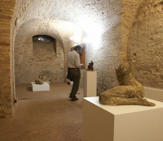 Elvira Martinez Elvira Martinez