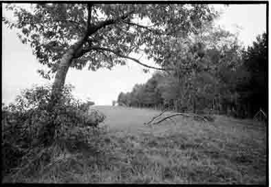 Enzo e Raffaello Bassotto – En Plein Air Enzo e Raffaello Bassotto – En Plein Air