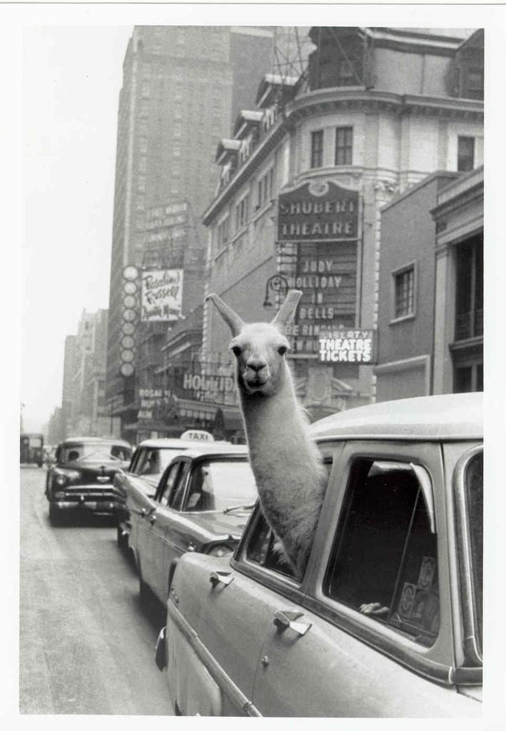 Inge Morath – Retrospettivahttps://www.exibart.com/repository/media/eventi/2003/09/inge-morath-8211-retrospettiva.jpg