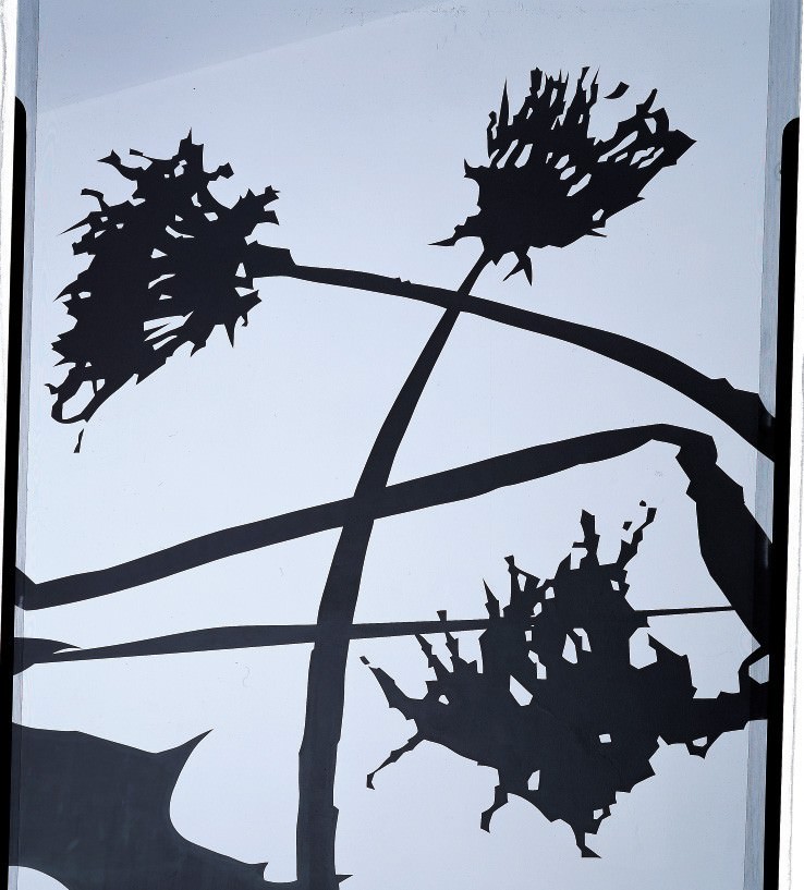 Paul Morrisonhttps://www.exibart.com/repository/media/eventi/2003/09/paul-morrison.jpg