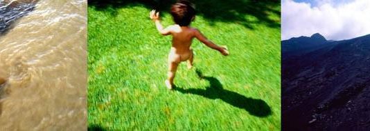 Salvino Campos – Short Stories Salvino Campos – Short Stories