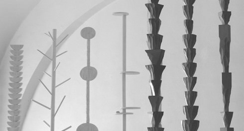 Paolo di Capua – Crescita di piante notturne