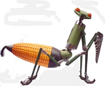 Sergio Barboni – Novafood 3