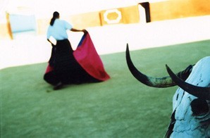 Annette Schreyer – Escena Muda