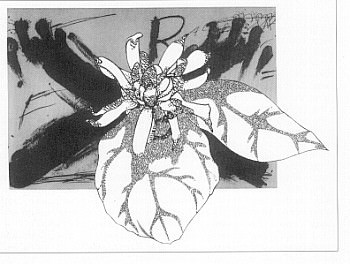 L’urlo e il furore