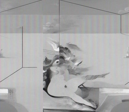 Renato Calligaro – L’errare narrativo