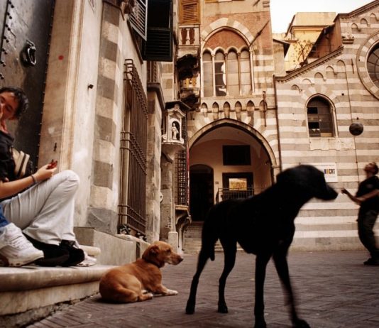 Daniele Dainelli – Viste e visioni