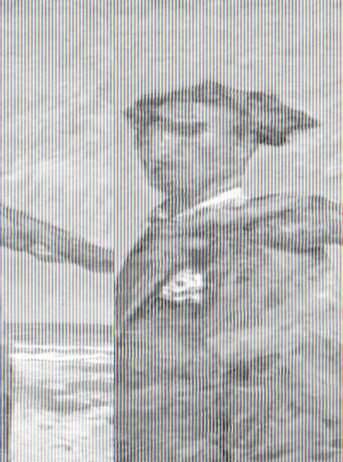 Giampaolo Talani – Animali di Battigia