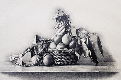 Gianluca Corona – Disegni di Natura