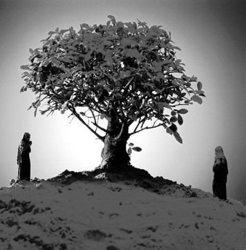 Guido Castagnoli / Gianluca Nibbi