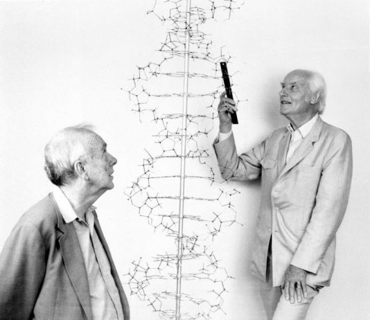La Doppia elica del DNA 50 anni dopo