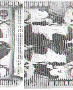 Stella Tasca – Mettiti in gioco