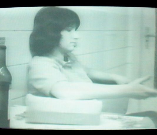 Tri (o) ptique – Akerman/Ono/Moral