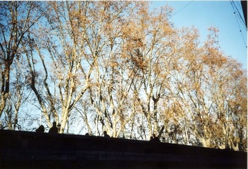 Andrea Aquilanti – I Passanti Andrea Aquilanti – I Passanti