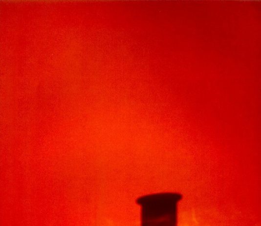 Diana Trevisi – Trame d’ombra