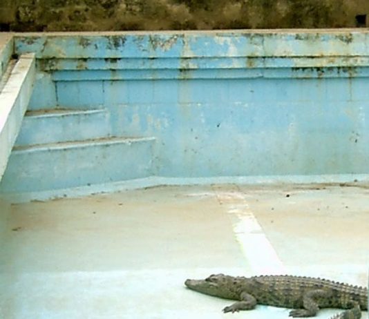 Eva Marisaldi Eva Marisaldi