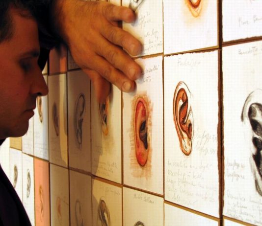 Francesco Schiavulli – Il misuratore di orecchie Francesco Schiavulli – Il misuratore di orecchie